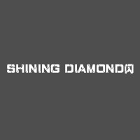 Shining Diamond-亮片鞋